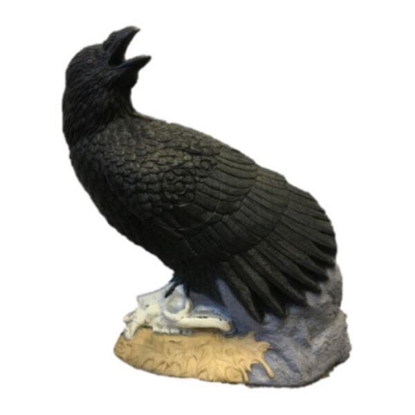 Rinehart 3D-Ziel - Rabe