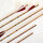 Cross-X, 6 Pfeile - Madera Light -  800 ( mit Naturfedern, Insert liegt nur bei, ohne Spitze )