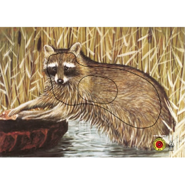 Krüger Tierbild Gruppe 3 Waschbär 84x59cm 5er Pack