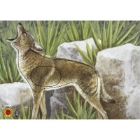 Krüger Tierbild Gruppe 3 Kojote 84x59cm 5er Pack