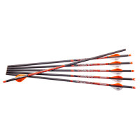 Ravin .003 Arrows #R138 - 6er Pack
