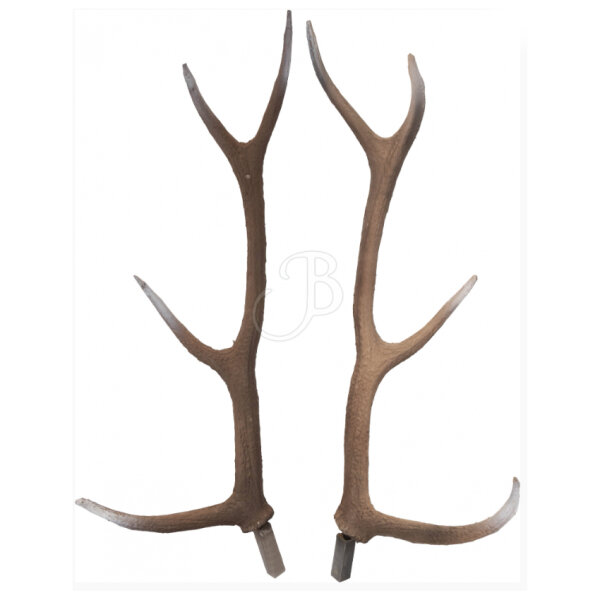 Eleven 3D-Ziel Hirschgeweih