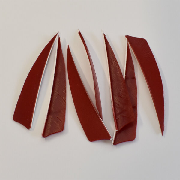 Gateway, Naturfedern Solid Color  4 Zoll RW shield - Red