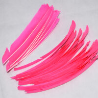 Gateway, Naturfedern Solid Color Full Length RW - Pink