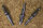 TopHat, Pfeilspitze Combo  9/32 - Bullet Form - 125 grain